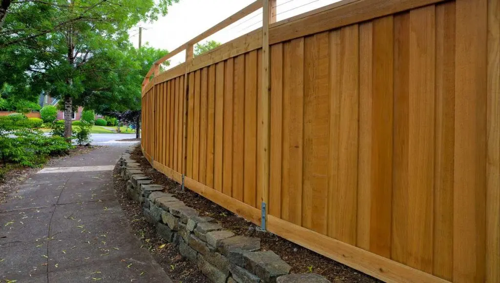 Cedar