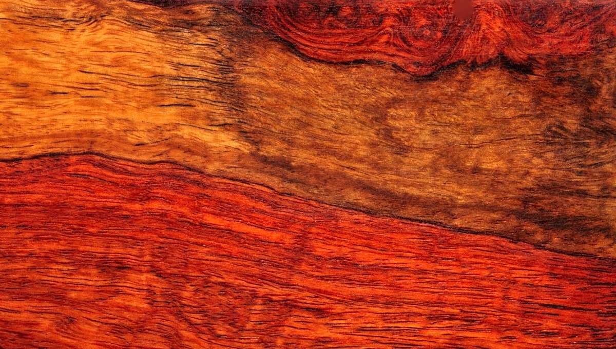Mahogany Wood: Timeless Elegance for Luxurious Craftsmanship